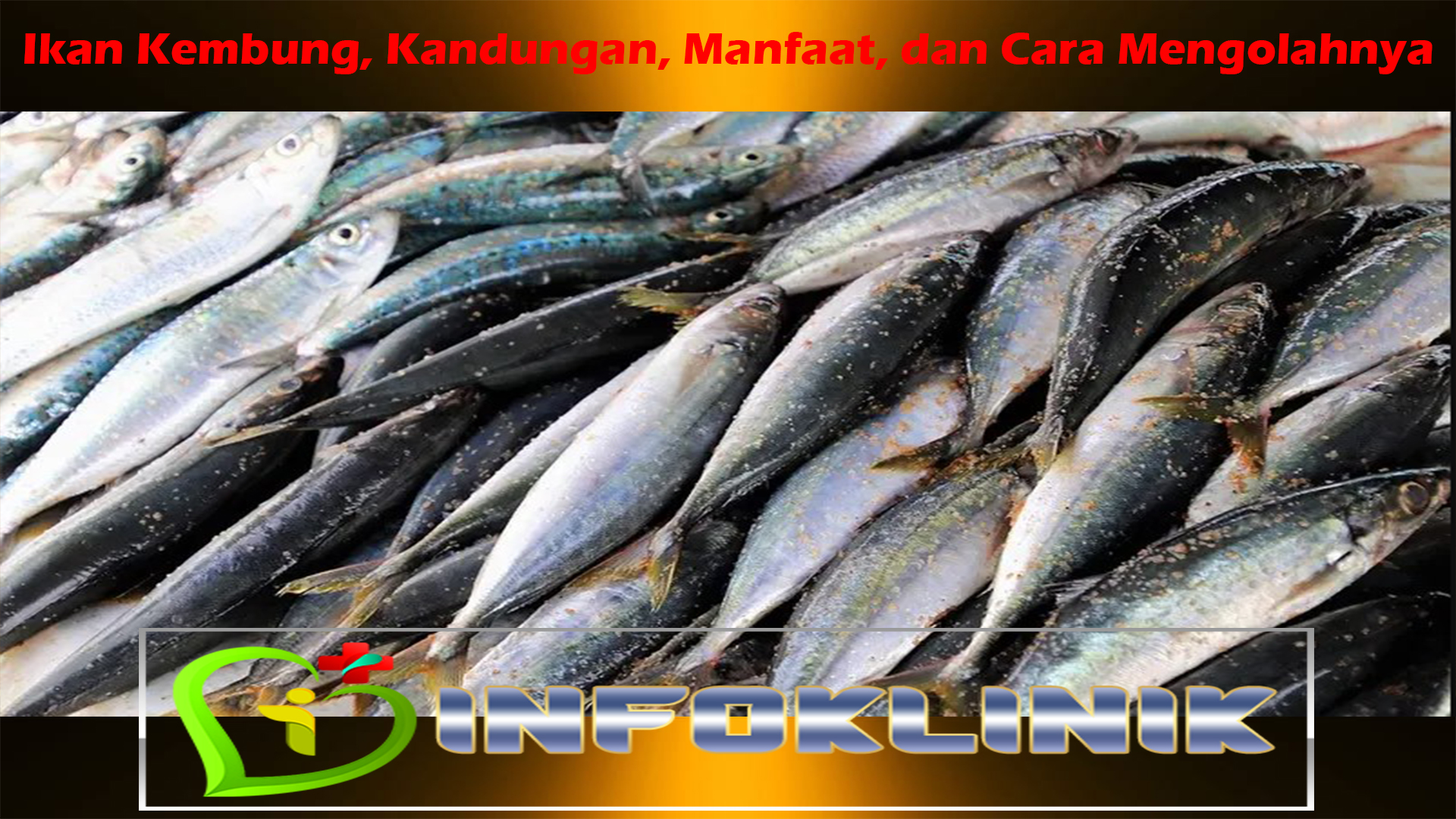 Ikan Kembung, Kandungan, Manfaat, dan Cara Mengolahnya